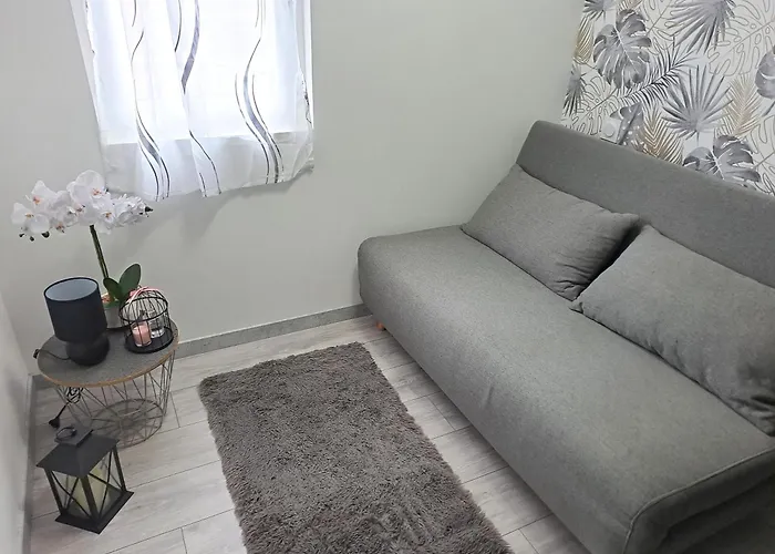 Cocon Paradi's * Herm